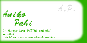 aniko pahi business card